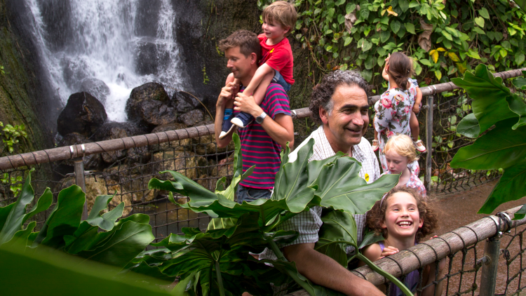 Family in the Rainforest Biome
