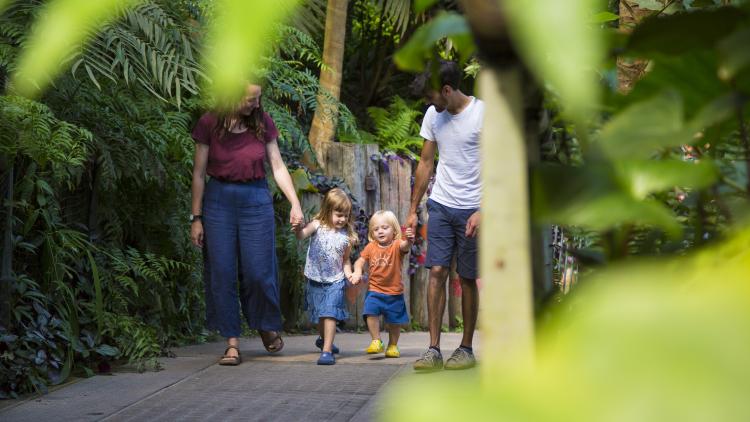 Family laughing and walking around the Rainforest Biome