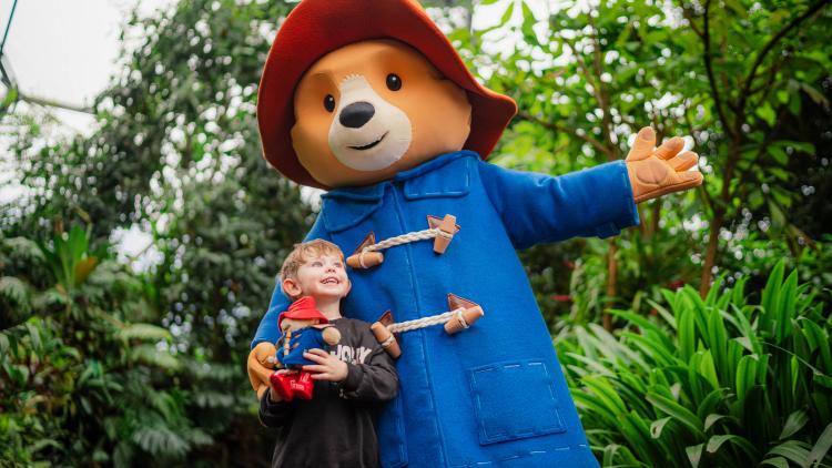 Paddington costume character hugging little boy holding a toy Paddington