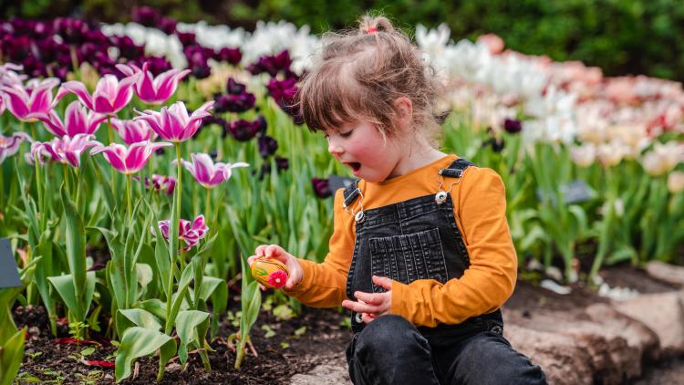 Girl gasping and picking up an Easter egg with tulips in the background