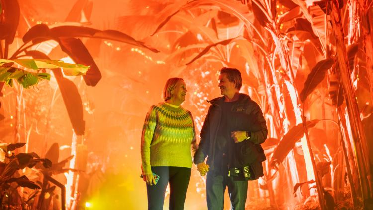 Older couple holding hands and looking at each other in the Rainforest Biome with red Christmas lights as the back drop