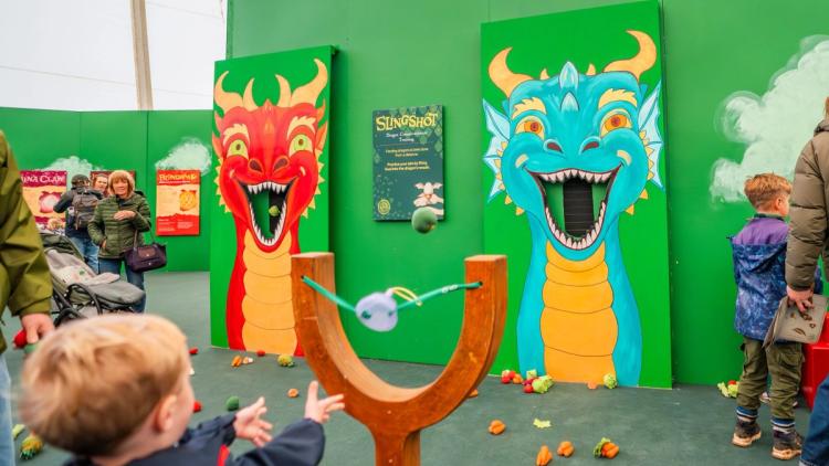 Child playing with catapult and dragon