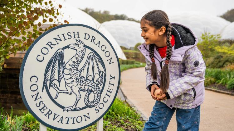 Girl looking at Cornish Dragon Conservation Society sign