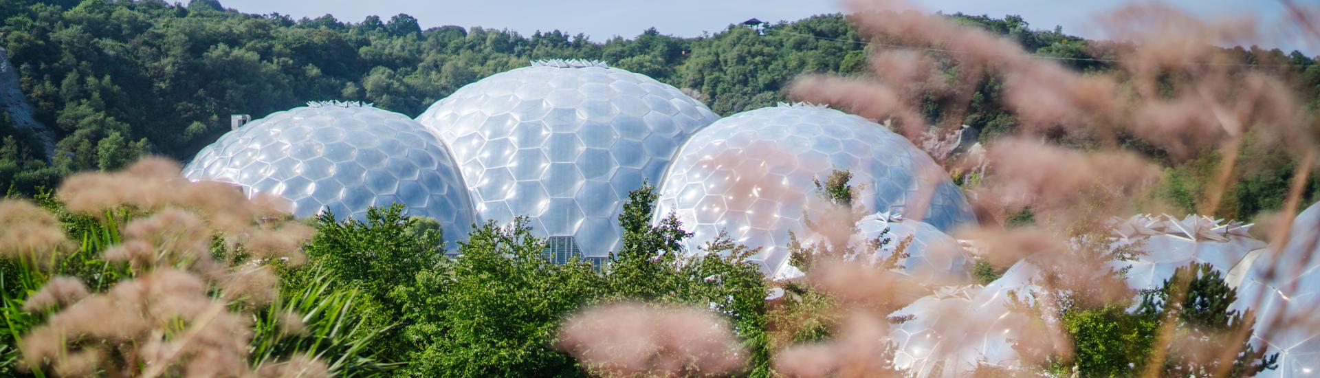 External Biomes shot capturing the Biomes on a sunny day in amongst foliage and greenery